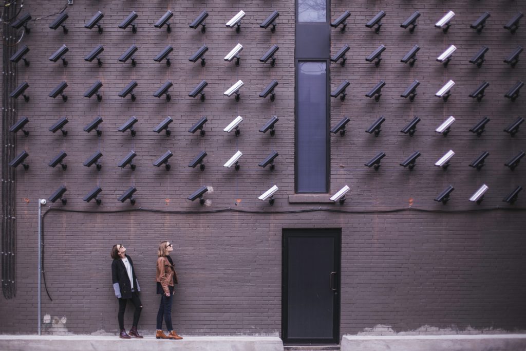 Photo by Burst via Pexels