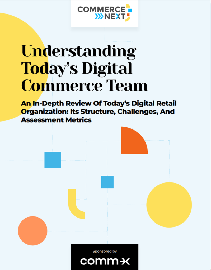 understanding todays digital commerce team cover