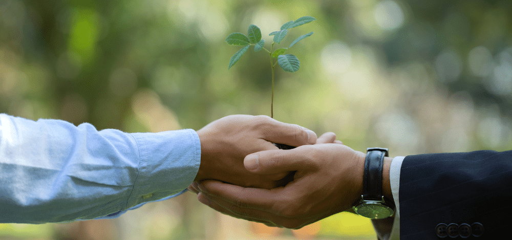 Sustainability