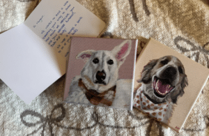 Chewy Pet Portrait