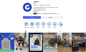 Chewy's Instagram Page